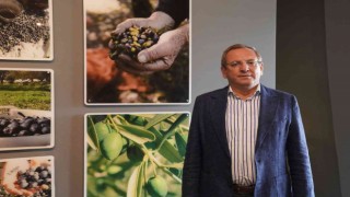 Ayvalıkta zeytinin müzesi geri dönüyor