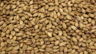 Baklava yeme yarışması ilginç görüntülere sahne oldu