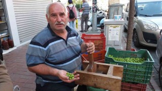 Balıkesirde kırma zeytin yapımına başlandı