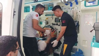 Başını duvarlara vurup saçlarını yoldu