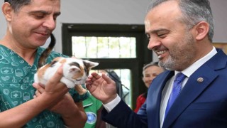 Başkan Aktaş, 4 aylık kediyi sahiplendi