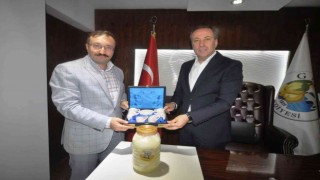 Başkan Doğan, Geyvede incelemelerde bulundu