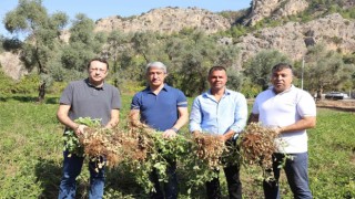 Başkan Oktay, “Üretmenin gururunu yaşıyoruz”