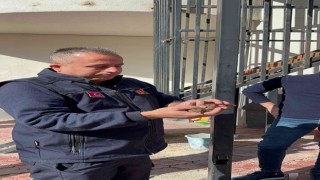 Batmanda demir profile sıkışan minik serçeyi itfaiye ekipleri kurtardı