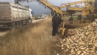 Bayburtta bu yıl hedeflenen şeker pancarı üretimi 100 bin ton