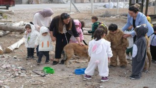 Beslenme noktalarındaki hayvanlara mama bıraktılar