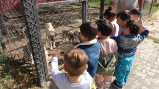 Bingölde çocuklar hayvan barınağını ziyaret etti