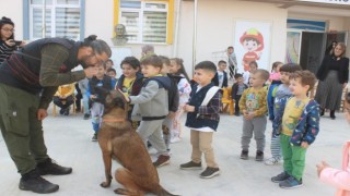 Birçok afette arama kurtarma çalışmalarına katılmıştı, kazaya kurban gitti