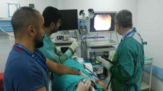 Birçok derde deva, çekirdeği ile tüketildiğinde hastanelik ediyor