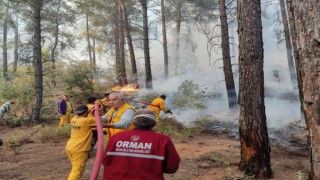 Bucakta çıkan orman yangını büyümeden kontrol altına alındı