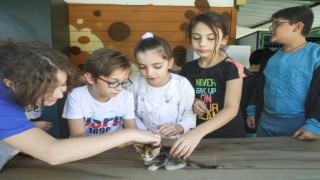 Bucalı miniklere hayvan sevgisi aşıladılar