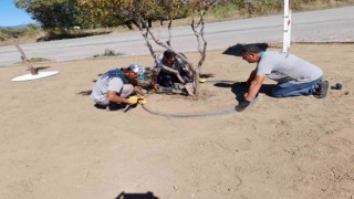 Burhaniyede parklara önem veriliyor