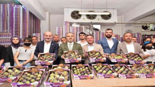 Bursa Büyükşehir, üreticiye can suyu oldu