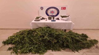 Bursada kenevir tarlasına dönen eve baskın
