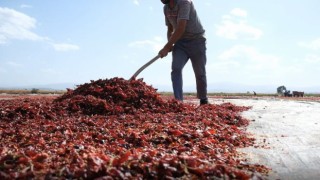 Bursanın toz biberi dünya mutfağında