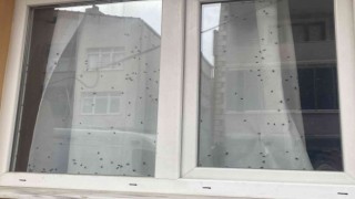 Büyükçekmecede polisi harekete geçiren ‘sinekli ev