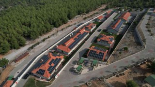 Büyükşehir can dostların enerjisini güneşten üretecek