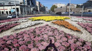 Büyükşehir, sonbaharda 1 milyon çiçek dikti