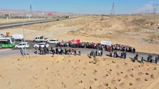 Büyükşehirden şehitler anısına 251 fidan