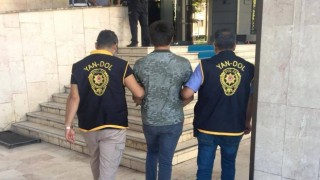 Çatı faresi yakalandı