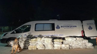 Cenaze değil, uyuşturucu taşıyor