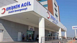 Ceviz çırparken ağaçtan düşen şahıs hayatını kaybetti