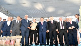 Çitçilere arpa ve buğday tohumu dağıtıldı