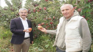 Çivril elması Cumhurbaşkanı Erdoğana hediye edildi