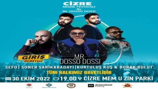 Cizre Müzik Festivalini provoke etme şüphesiyle 15 kişi gözaltına alındı