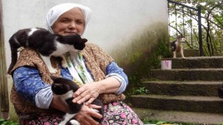 Çocuk sevgisini kedilerde buldu