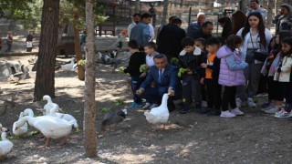 Çorumda Dünya Hayvanları Koruma Günü kutlandı