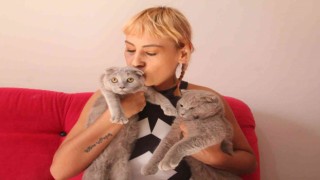 Dekolteli kedi hırsızlarına verilen ceza, ev sahibini şok etti