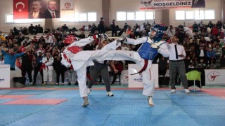 Denizliye 15 ilden gelen 400 sporcu turnuvada mücadele etti