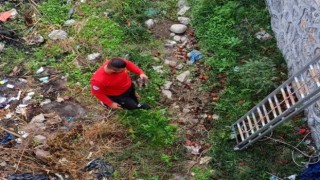 Derede mahsur kalan yavru kediyi itfaiye kurtardı