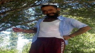 Develide intihar