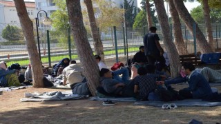 Didimde 53 düzensiz göçmen yakalandı