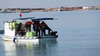 Didimde arkadaş cinayetinde karar çıktı