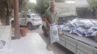 Didimde üreticilere ton tohum desteği