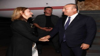 Dışişleri Bakanı Çavuşoğlu, Ganada