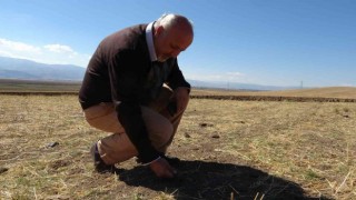 Dr. Dölek, Muşun 2012den 2050 yılına uzanan sıcaklık ve yağış trendlerini analiz etti
