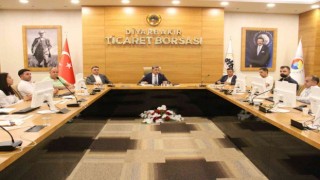 DTB Başkanı Yeşil: “Pamuk üreticileri acil desteklenmeli”
