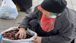 Düzce kestanesi tezgaha indi, kilosu 50 ile 70 liradan satılıyor