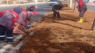 Düzceyi kadınlar güzelleştiriyor
