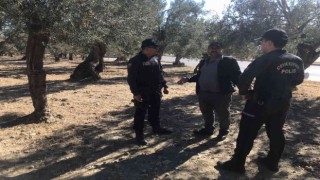 Edremitte polis zeytin bahçelerinde denetim yaptı