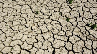 Ege, son 20 yılın en kurak sezonunu yaşıyor