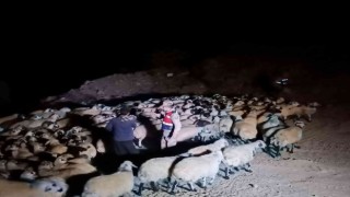 Elazığda jandarma kaybolan hayvanları dron ile buldu