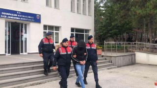 Enerji nakil kablosu çalan 2 kişi tutuklandı
