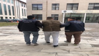 Erzurumda kaçak göçmen operasyonu