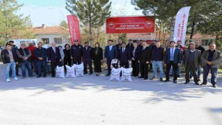Eskişehirde çiftçilere Macar fiği tohumu dağıtıldı