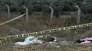 Fare zehri verilip boğularak öldürülen kadının hamime olduğu belirlendi